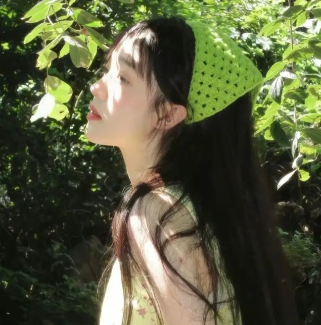 绵羊侦探团
